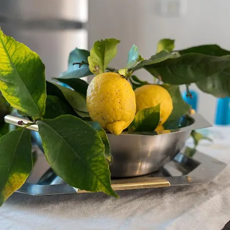 Casa Masala 이르골리